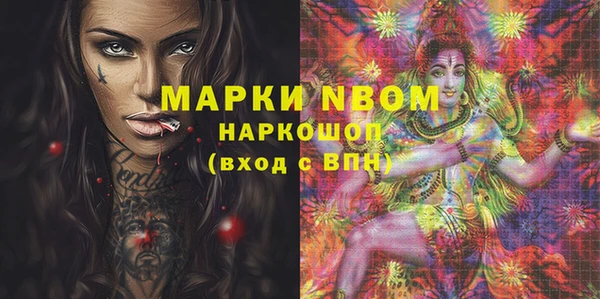 прущие грибы Балабаново