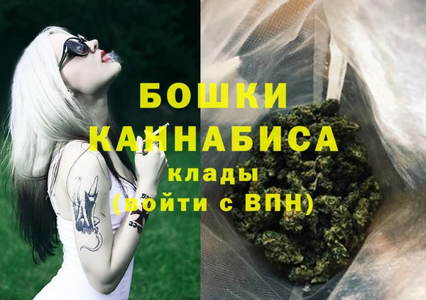 прущие грибы Балабаново
