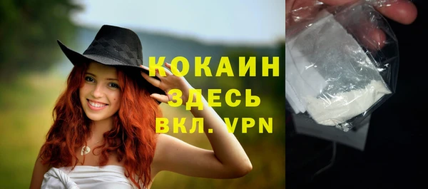 прущие грибы Балабаново
