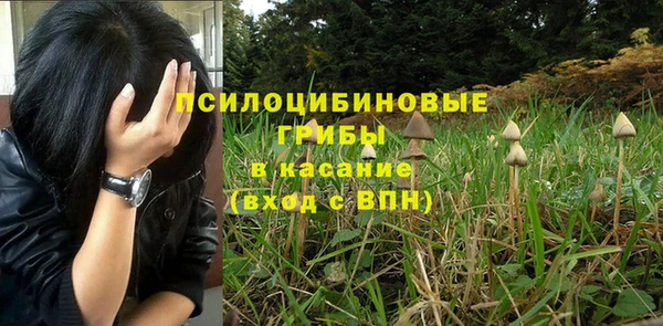 прущие грибы Балабаново