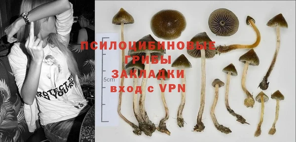 прущие грибы Балабаново
