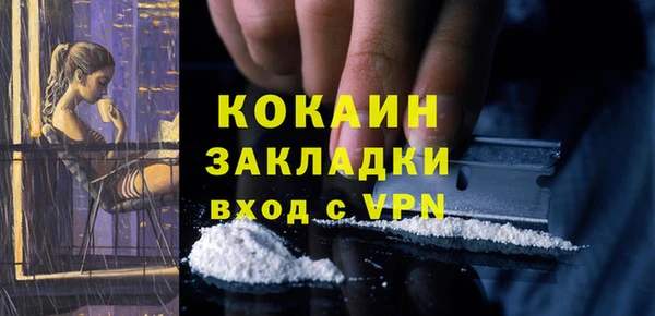 хмурый Белокуриха