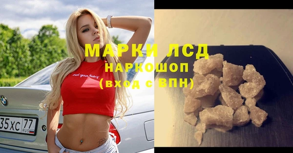 прущие грибы Балабаново