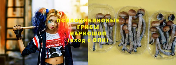 прущие грибы Балабаново