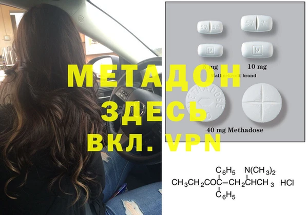 прущие грибы Балабаново