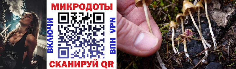 Галлюциногенные грибы мицелий сколько стоит Корсаков